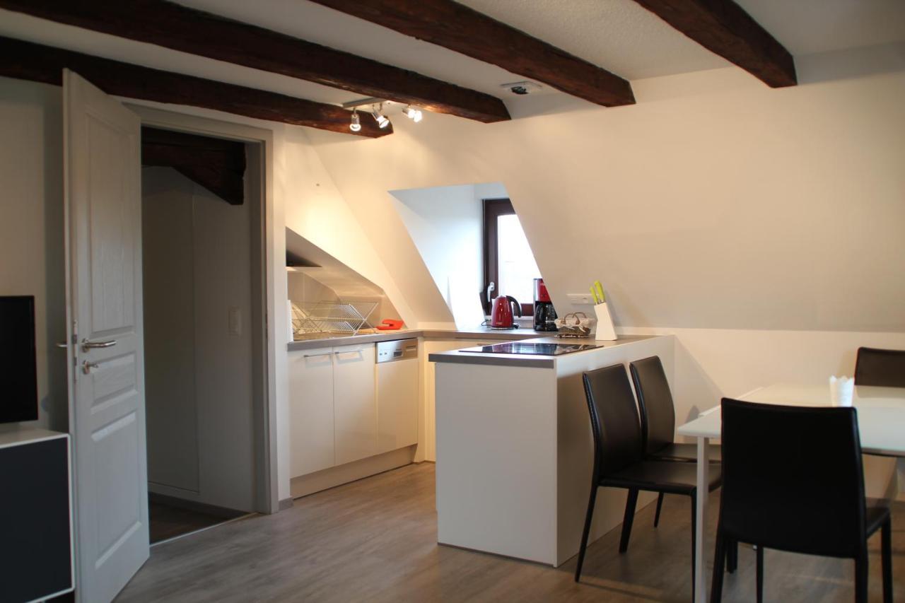 A L'Ill - Apparts & Studios Strasbourg Hyper Centre المظهر الخارجي الصورة